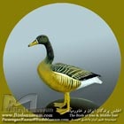 غاز پا زرد